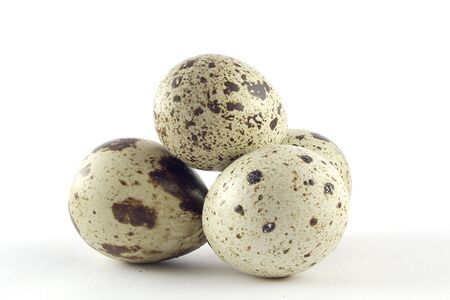 Перепелиное яйцо