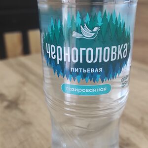 Вода Черноголовка (газированная) 