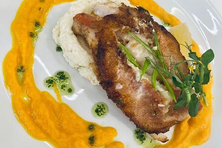 Филе окуня с пюре из сельдерея и морковно-манговым соусом
