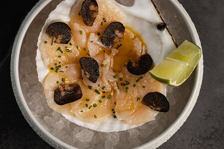 Крудо из гребешка