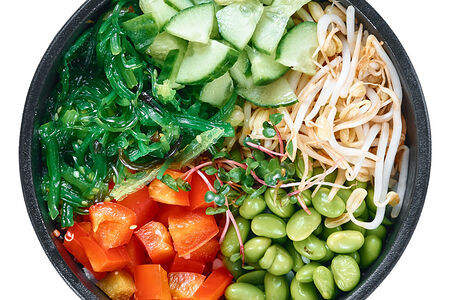 Вега поке Стандарт