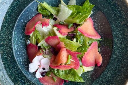 Салат с главраксом 