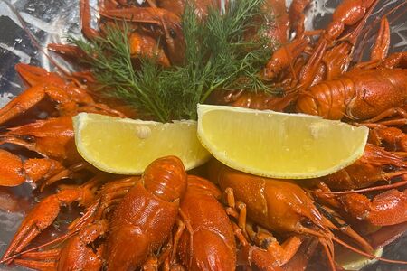 Раки волжские вареные