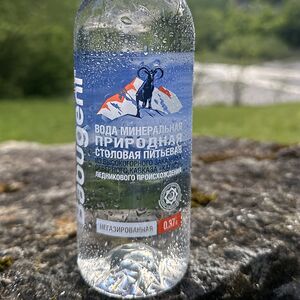 Вода Babugent негазированная