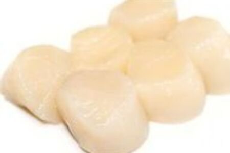 Гребешок Курильский