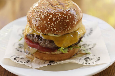 Традиционный бургер с розмариновым айоли