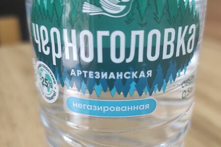 Вода Черноголовка (негазированная)  