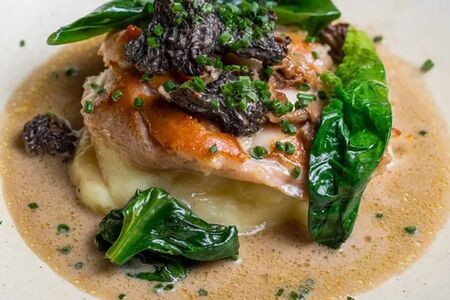 Цыплёнок с грибами и картофельным кремом