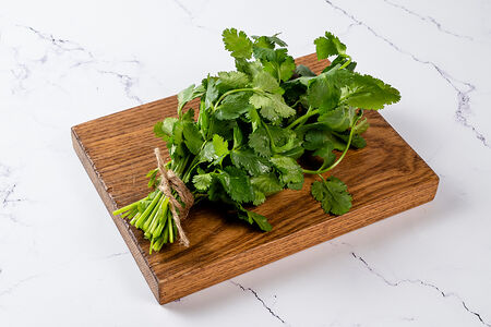 Кинза свежая