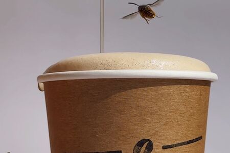 Авторский медовый раф