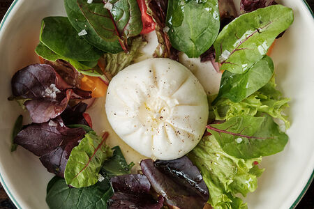 Буррата, сезонные томаты