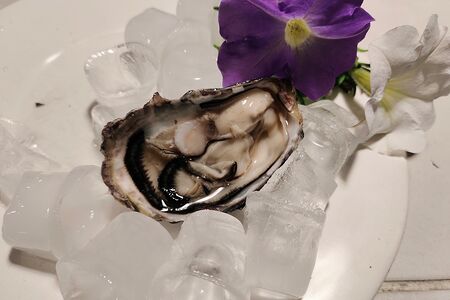 Устрица Фин де Клер