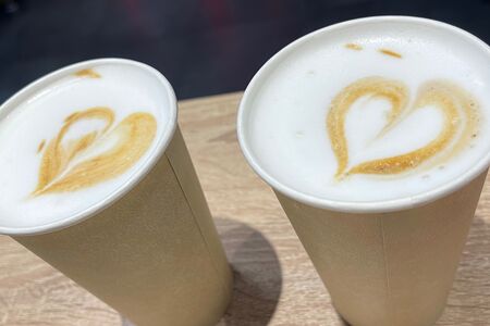 Раф Ежевика-мята