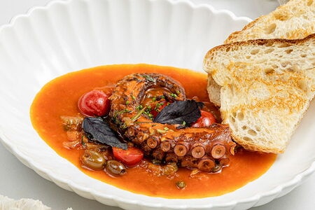 Осьминог Алла Лучиано