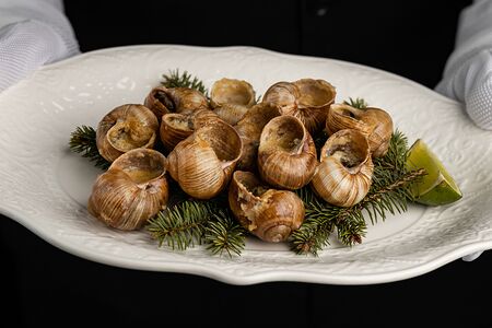 Улитки по-бургундски в медово-горчичном соусе 