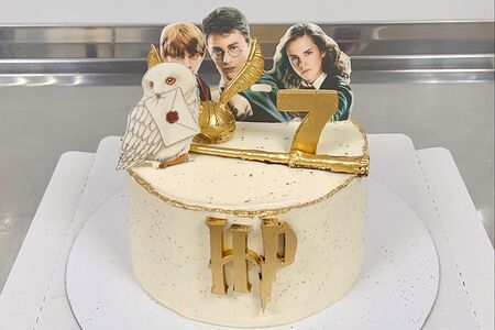 Торт Гарри Поттер