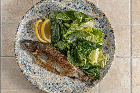 Форель радужная 