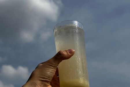 Лимонад дынный