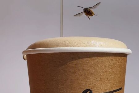 Авторский медовый раф