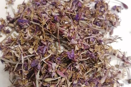 Иван чай цветочный