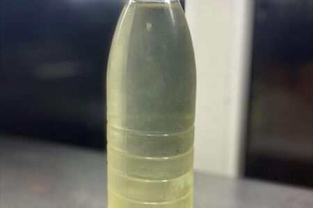 Ананасовый Луфи