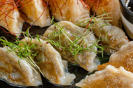 Ассорти гёдза с уткой