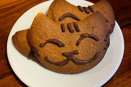 Имбирный котик