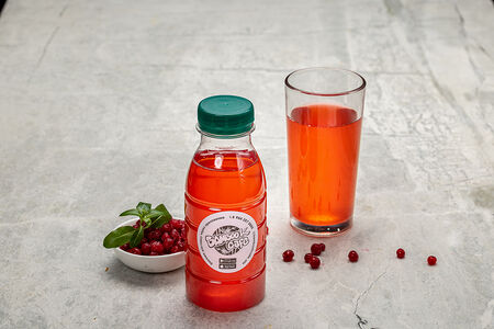 Морс брусничный