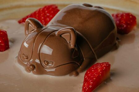 Панна-Корги