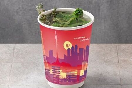 Свежая мята