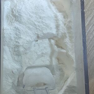 Сахарная пудра