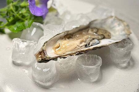 Устрица Императорская