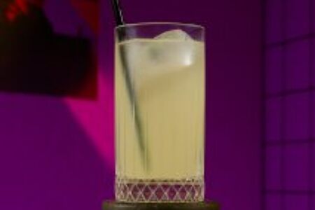  Домашний лимонад Дыня-лемонграсс 