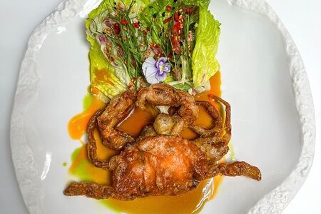 Мягкопанцирный краб с салатом из овощей с соусом вафу