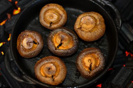 Грибы Шампиньоны