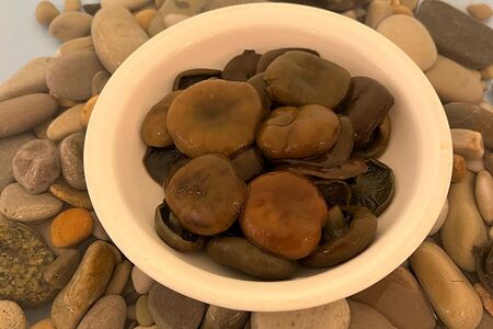 Рыжики солёные