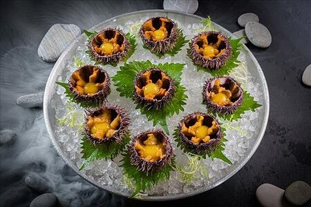 Живой морской еж