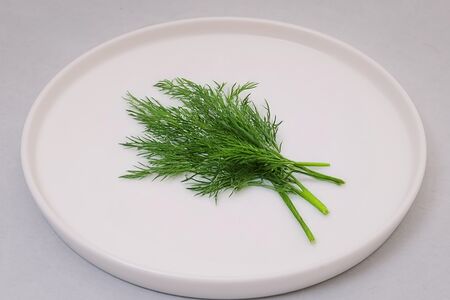 Укроп свежий