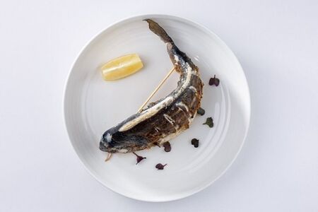 Рыба Дорадо
