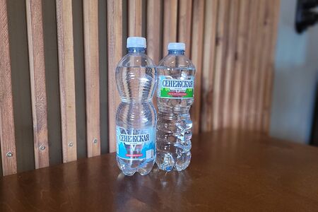 Сенежская негазированная