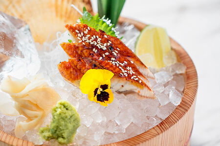 Речной угорь