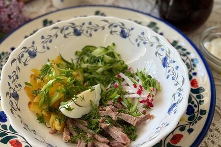 Домашняя мясная окрошка со сметаной и зеленью 