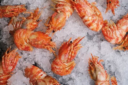 Гренландские креветки Дракон