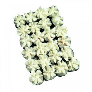 Сет роллов Сливочный