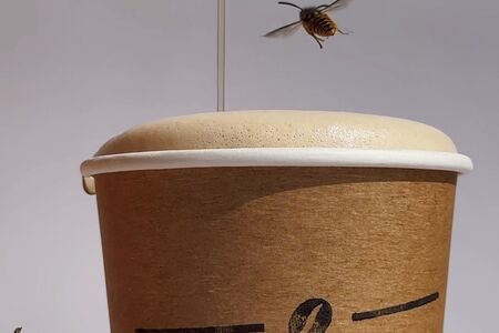 Авторский медовый раф