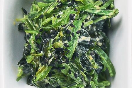 Водоросли чука