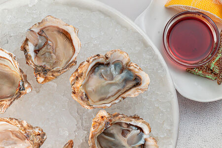 Добрые устрицы