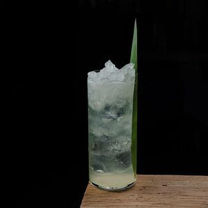 Лимонад Алоэ-вера