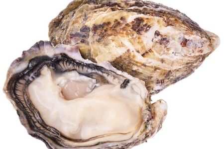 Устрица Моари