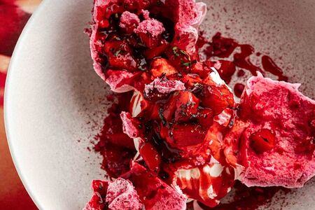 Попытка быть леди Павлова 